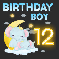 Cute Elephant 12th Birthday Boy Hipster Exclusive T-shirt | Artistshot