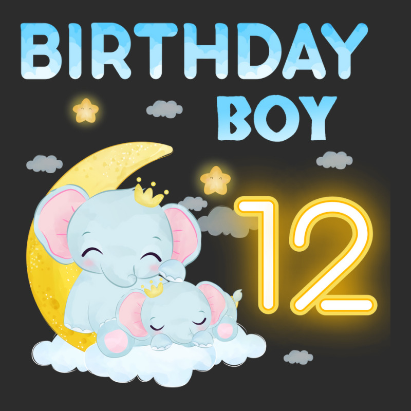 Cute Elephant 12th Birthday Boy Hipster Exclusive T-shirt | Artistshot