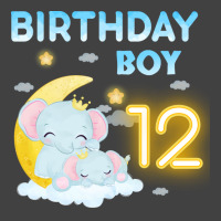 Cute Elephant 12th Birthday Boy Hipster Vintage T-shirt | Artistshot