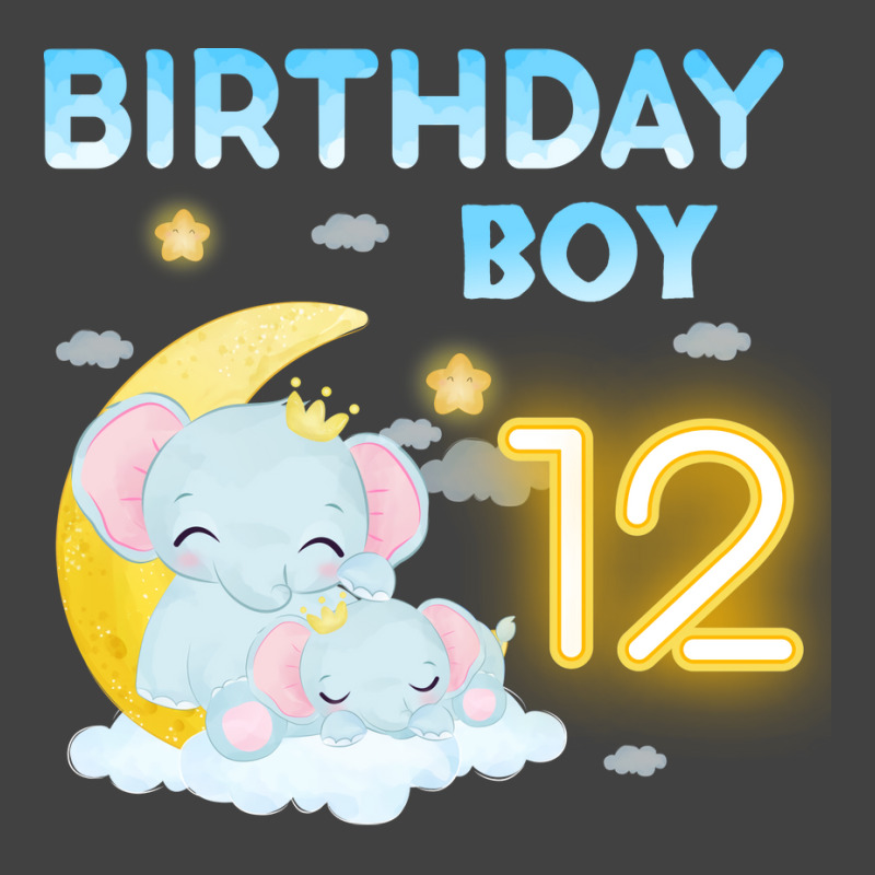 Cute Elephant 12th Birthday Boy Hipster Vintage T-shirt | Artistshot