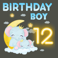 Cute Elephant 12th Birthday Boy Hipster Fleece Short | Artistshot