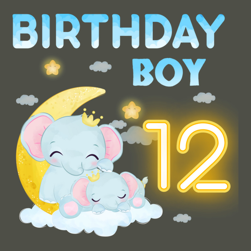 Cute Elephant 12th Birthday Boy Hipster Fleece Short | Artistshot