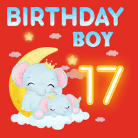 Cute Elephant 17th Birthday Boy Red Graphic T-shirt | Artistshot