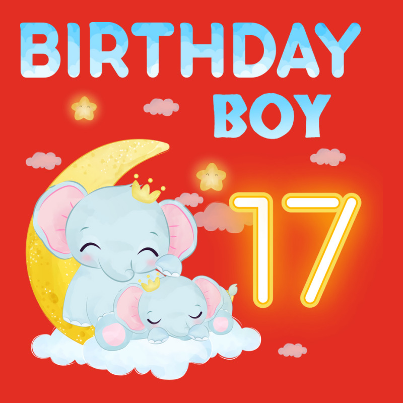 Cute Elephant 17th Birthday Boy Red Graphic T-shirt | Artistshot