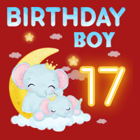 Cute Elephant 17th Birthday Boy Red Hoodie & Jogger Set | Artistshot