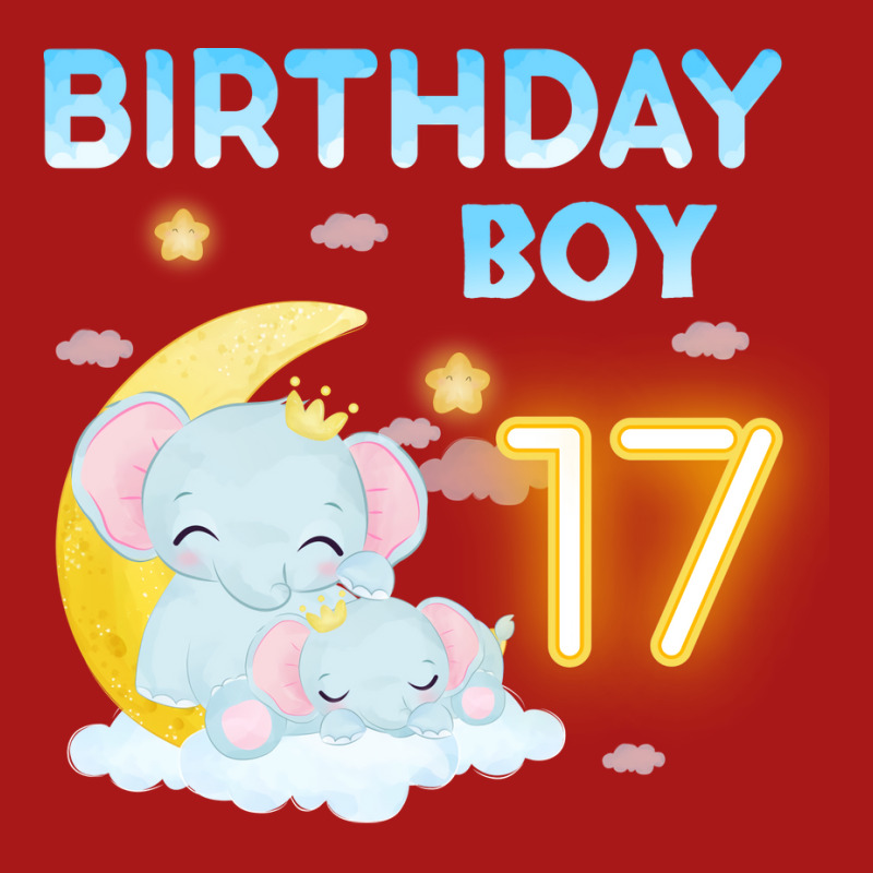 Cute Elephant 17th Birthday Boy Red Hoodie & Jogger Set | Artistshot