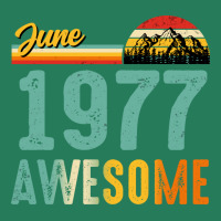 June 1977 Birthday Gift  Vintage June 1977 Awesome T-shirt | Artistshot