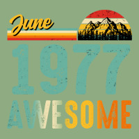 June 1977 Birthday Gift  Vintage June 1977 Awesome Graphic T-shirt | Artistshot