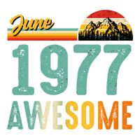 June 1977 Birthday Gift  Vintage June 1977 Awesome V-neck Tee | Artistshot