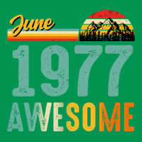 June 1977 Birthday Gift  Vintage June 1977 Awesome Classic T-shirt | Artistshot