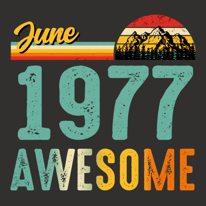 June 1977 Birthday Gift  Vintage June 1977 Awesome Champion Hoodie | Artistshot