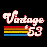 Vintage 1953 Birthday  Retro 53 Birthday   Nature V-neck Tee | Artistshot