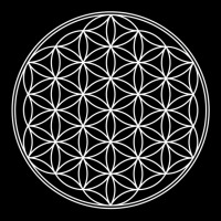 Flower Of Life   Sacred Geometry   Harmony & Balan Legging | Artistshot