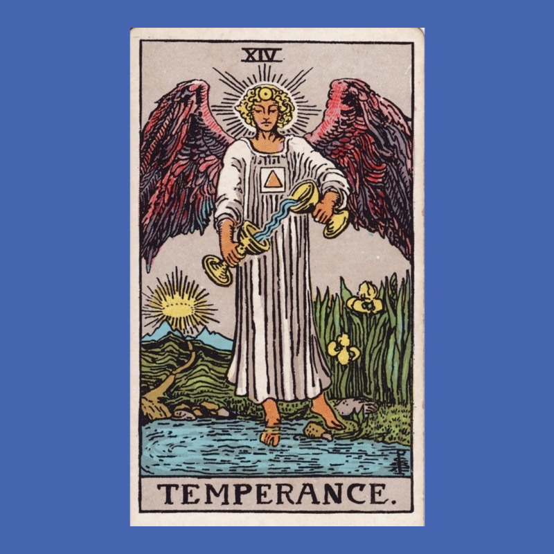 Temperance Tarot Zipper Hoodie by risminstotnai | Artistshot