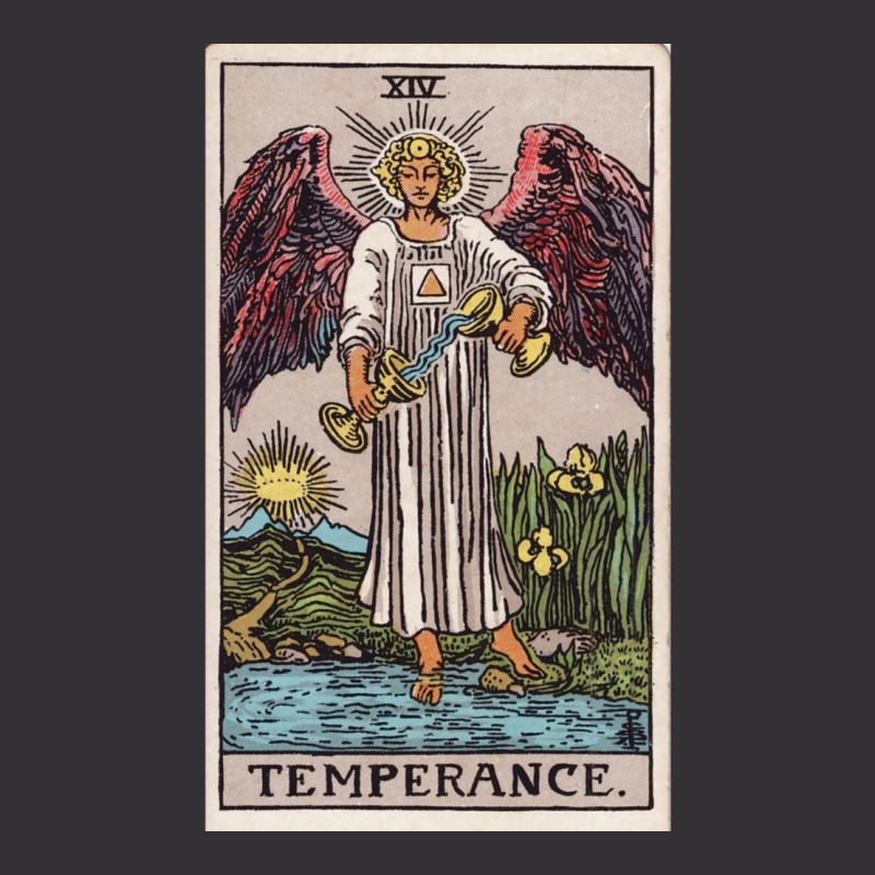 Temperance Tarot Vintage Hoodie And Short Set by risminstotnai | Artistshot