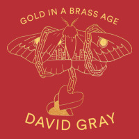 New David Gray In A Tour 2019 T-shirt | Artistshot