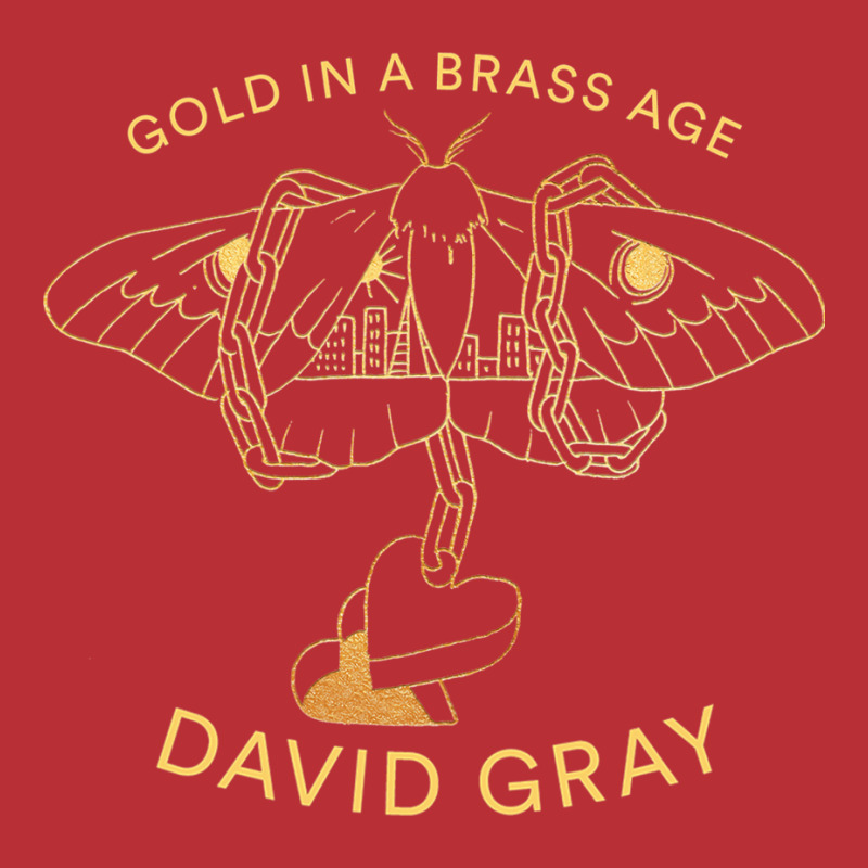 New David Gray In A Tour 2019 T-Shirt by deurinnipahy | Artistshot