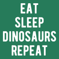 Eat Sleep Dinosaurs Repeat Summer T-shirt | Artistshot