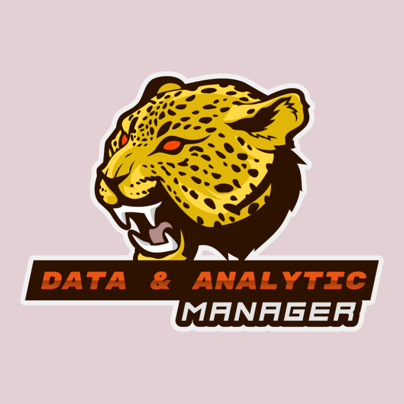 Clever Data Analytics Manager Stars Ladies Fitted T-Shirt by fandaeslahl | Artistshot