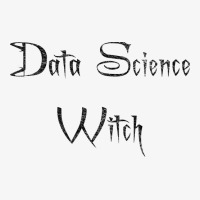 Data Science Witch 80s Ladies Fitted T-shirt | Artistshot