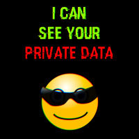 I Can See Your Private Data Summer Adjustable Cap | Artistshot