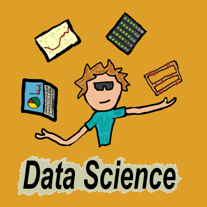 Data Scientist Summer T-shirt | Artistshot