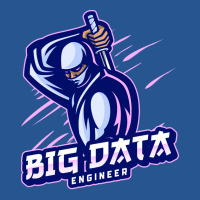 Big Data Engineer Expert 70s Ladies Fitted T-shirt | Artistshot