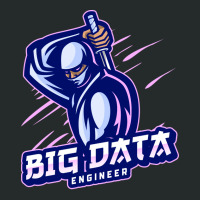 Big Data Engineer Expert 70s Women's Triblend Scoop T-shirt | Artistshot