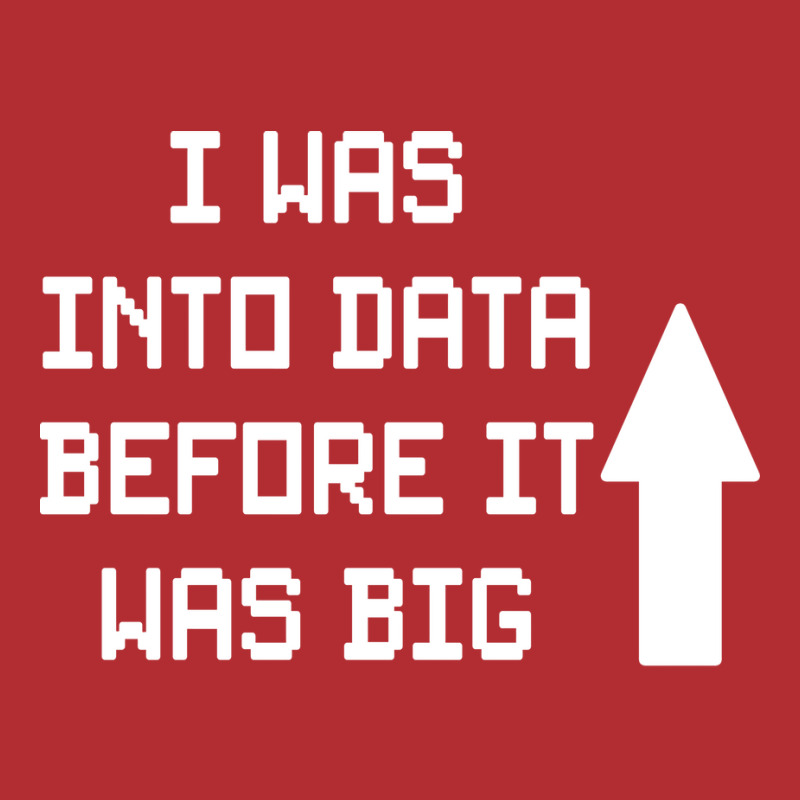 I Was Into Data Before It Was Big Cute Ladies Fitted T-Shirt by aploonennial | Artistshot