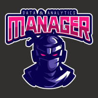 Ninja Data Analytics Manager Stars Champion Hoodie | Artistshot