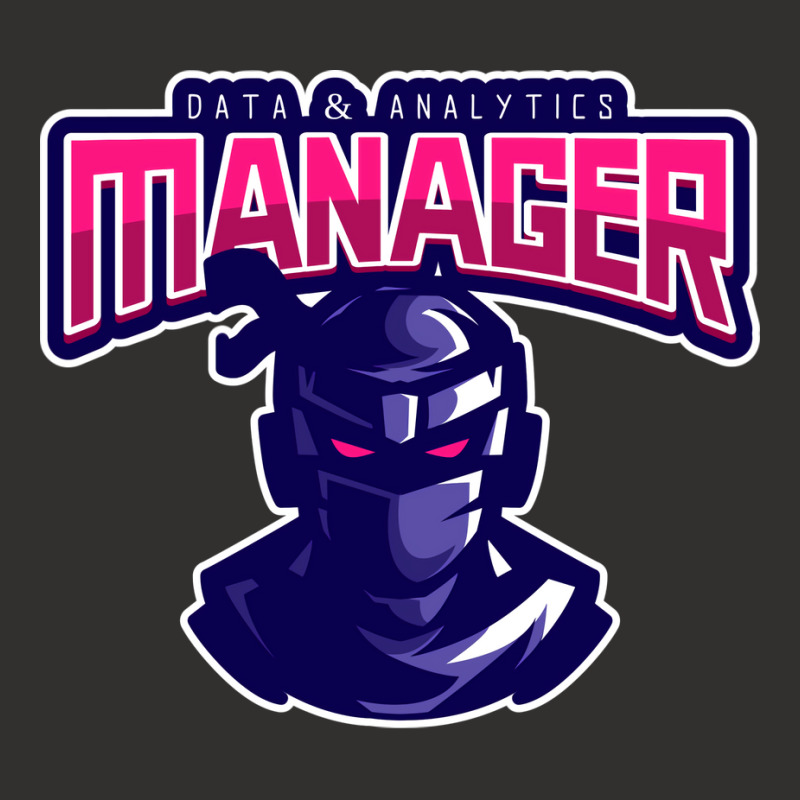 Ninja Data Analytics Manager Stars Champion Hoodie | Artistshot