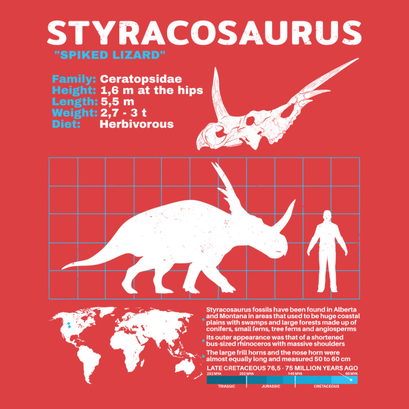 Styracosaurus Fact Sheet Retro Tank Top | Artistshot