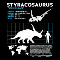 Styracosaurus Fact Sheet Retro Men's Long Sleeve Pajama Set | Artistshot