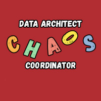 Data Architect Chaos Coordinator Gift Gift Ladies Fitted T-shirt | Artistshot