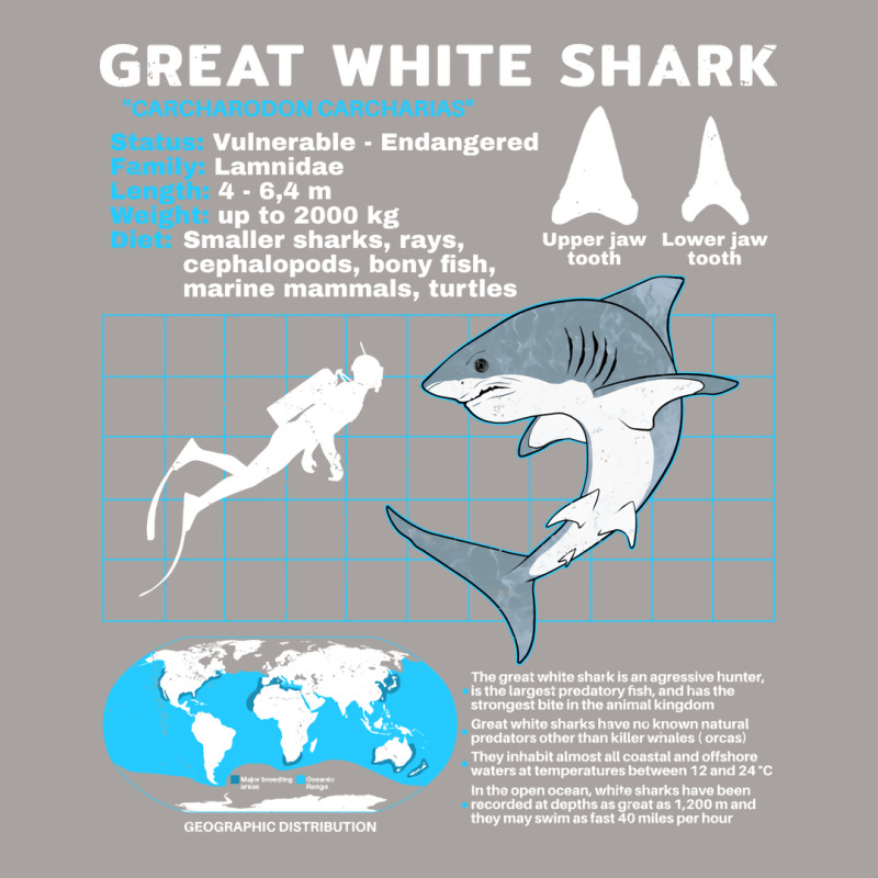 Great White Shark Fact Sheet Nature Racerback Tank by tuznipinoxk | Artistshot