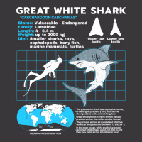 Great White Shark Fact Sheet Nature Ladies Curvy T-shirt | Artistshot