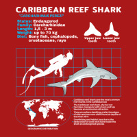 Caribbean Reef Shark Fact Sheet Trending Adjustable Cap | Artistshot