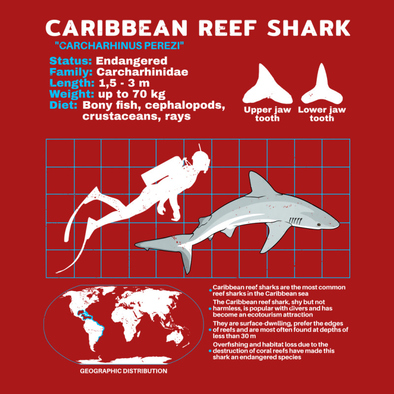 Caribbean Reef Shark Fact Sheet Trending Adjustable Cap by qeshicefav | Artistshot