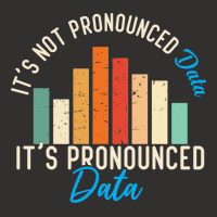 It Is Not Data It Is Pronounced Data Analyst Pun J Champion Hoodie | Artistshot