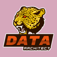 Clever Data Architect Aesthetic Classic T-shirt | Artistshot