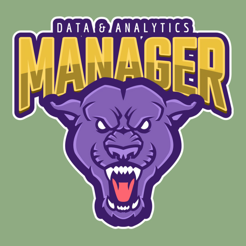 Powerful Data Analytics Manager Aesthetic Graphic T-shirt by saloteatyame0 | Artistshot