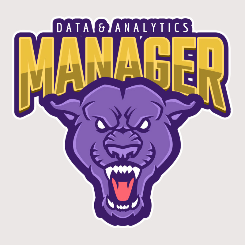 Powerful Data Analytics Manager Aesthetic Pocket T-Shirt by saloteatyame0 | Artistshot