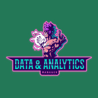 The Power Of A Data Analytics Manager Nostalgia Ladies Fitted T-shirt | Artistshot