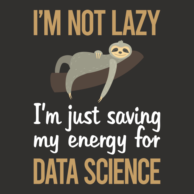 Saving Energy Data Science Quote Champion Hoodie | Artistshot