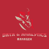 Data Analytics Manager Guru Summer Women's V-neck T-shirt | Artistshot