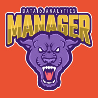 Powerful Data Analytics Manager Summer Ladies Fitted T-shirt | Artistshot