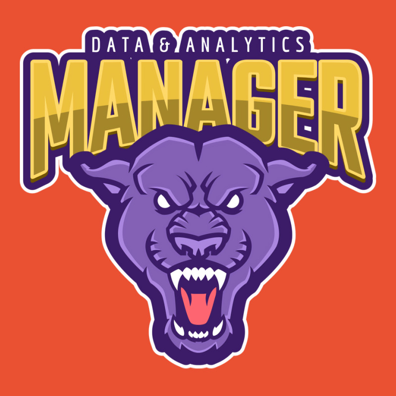 Powerful Data Analytics Manager Summer Ladies Fitted T-Shirt by argotyantion4 | Artistshot