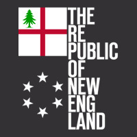 The Republic Of New England Vintage Hoodie | Artistshot