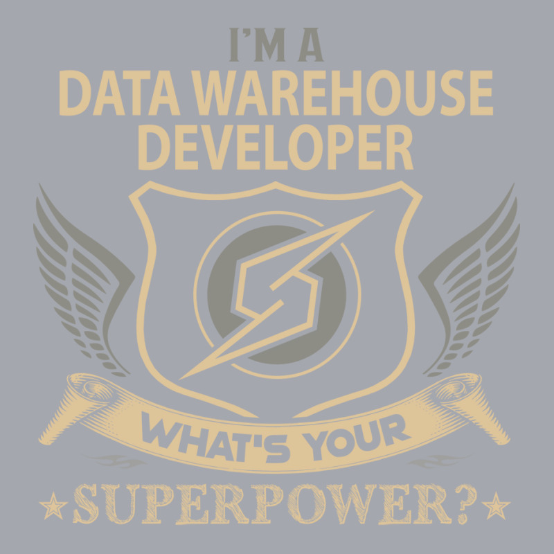 Data Warehouse Developer T  Superpower Gift Item T Long Sleeve Shirts | Artistshot