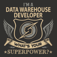 Data Warehouse Developer T  Superpower Gift Item T Champion Hoodie | Artistshot